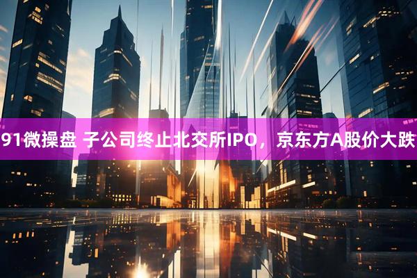 91微操盘 子公司终止北交所IPO，京东方A股价大跌